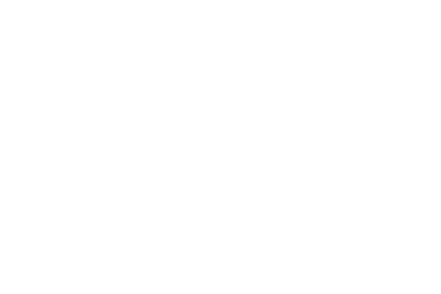 DataPress Logo